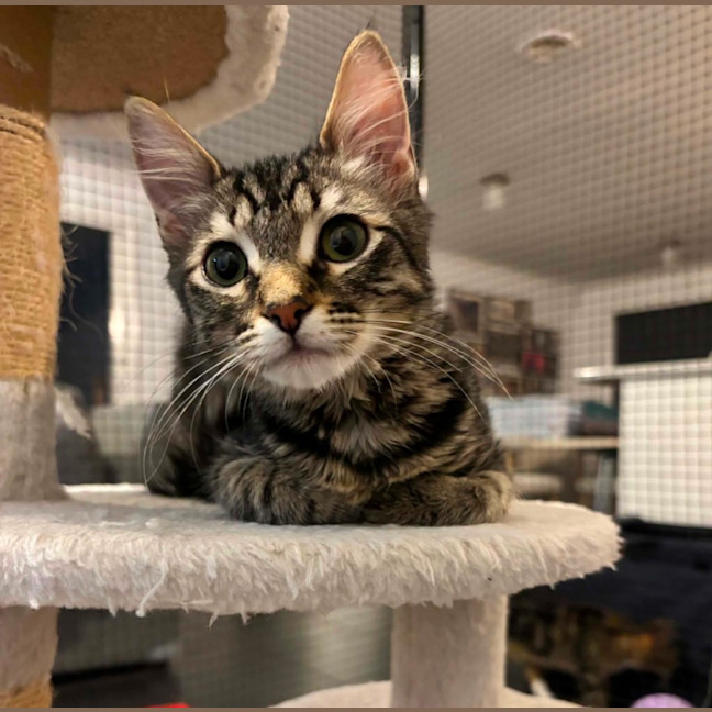 Photo of Hersberry