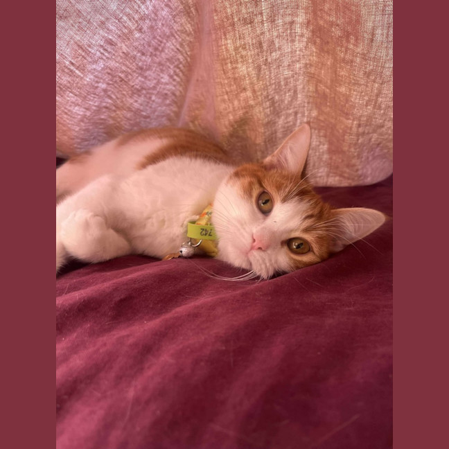 Photo of Edgar (Egg 🥚) 