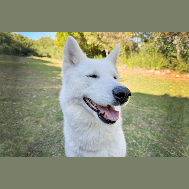 Photo of Heidi