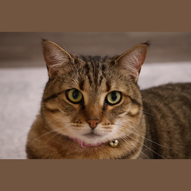Photo of Delilah