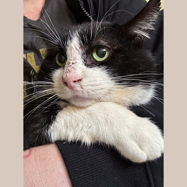 Photo of Bruce Wayne