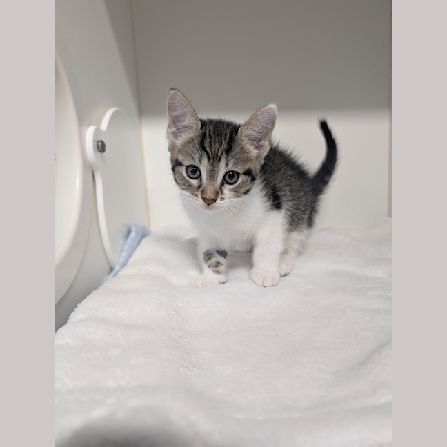 Photo of Clawdia
