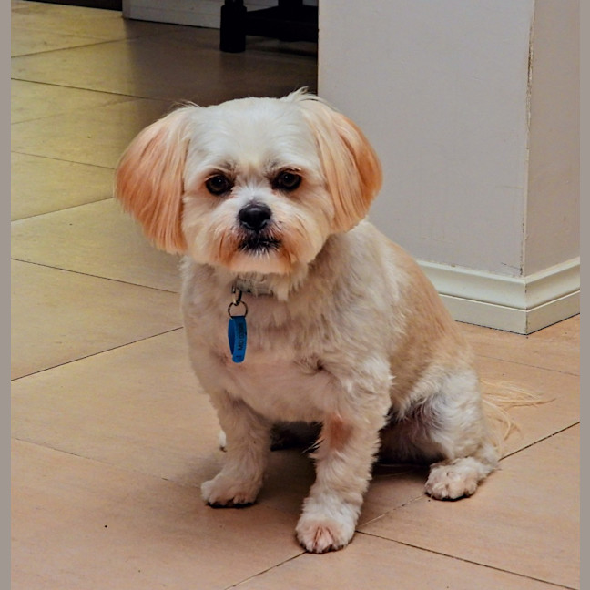 Photo of Lando