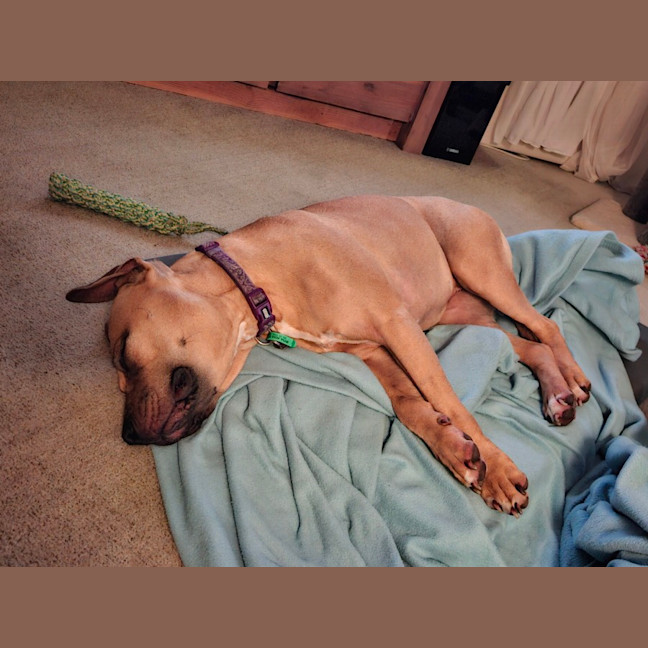 Photo of Jinx