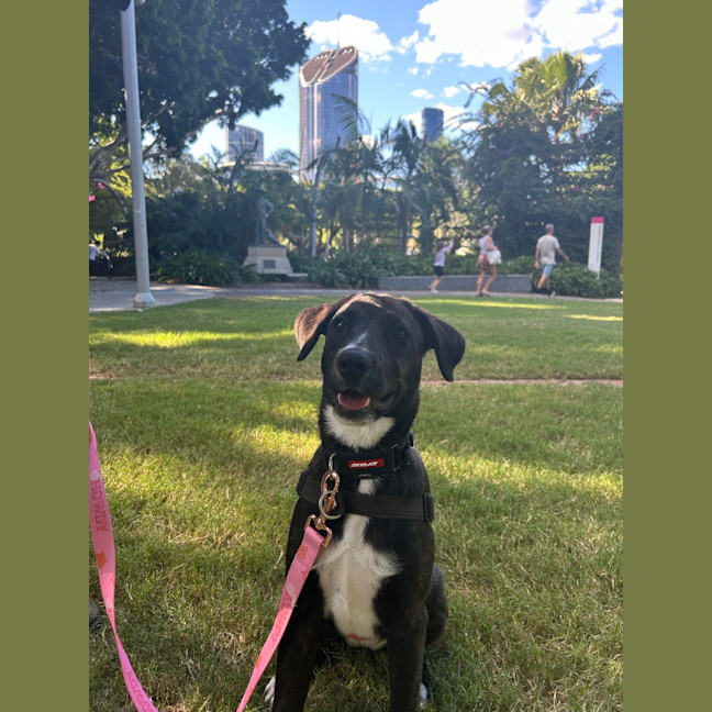 Photo of Bella