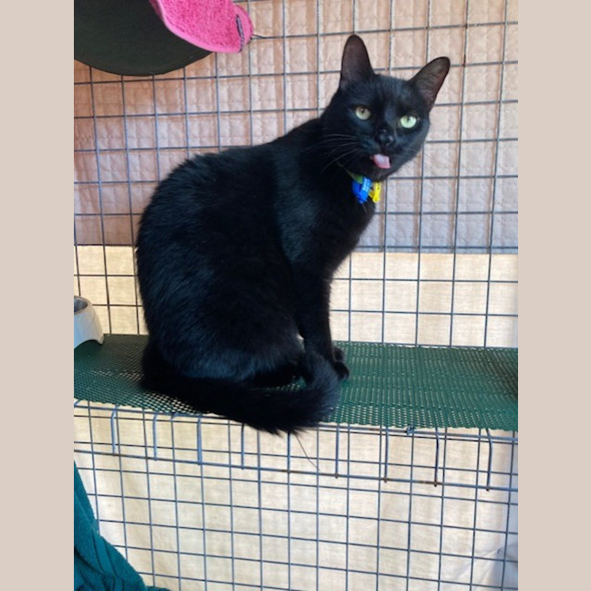 Photo of Luca & Smudge