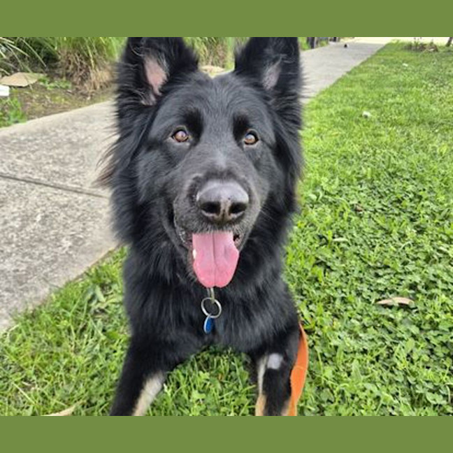 Photo of Murphy