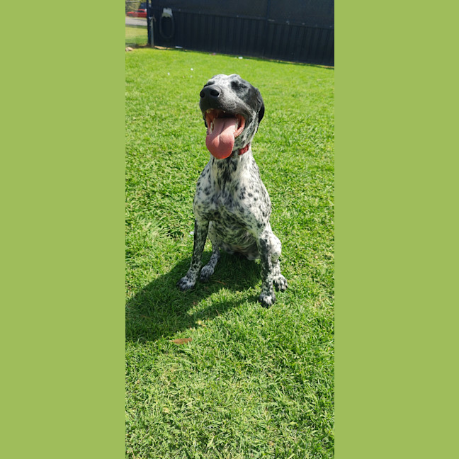Photo of Lainey