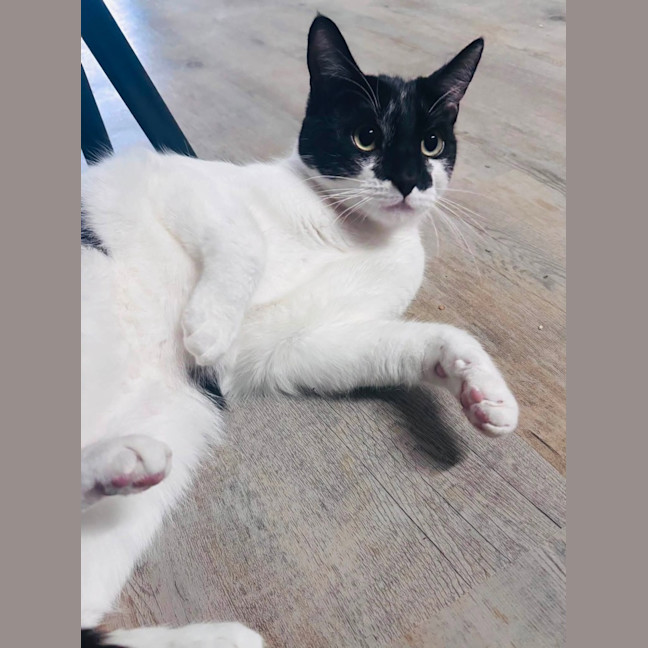 Photo of Murphy