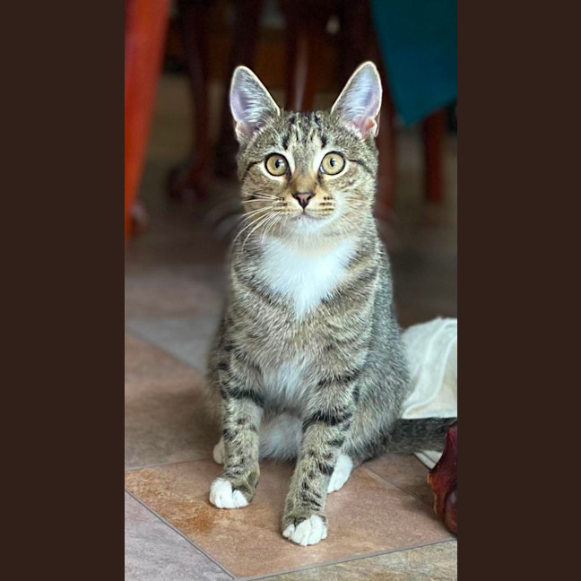 Photo of Bella