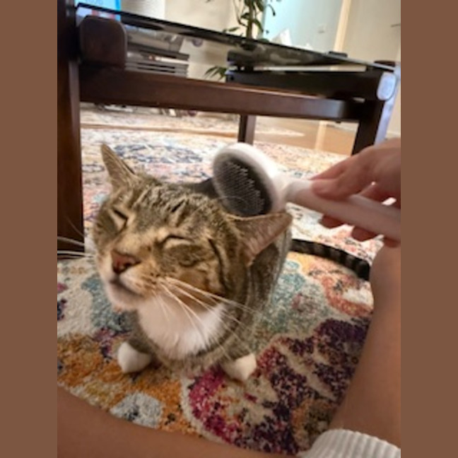 Photo of Lolo (Migallo)