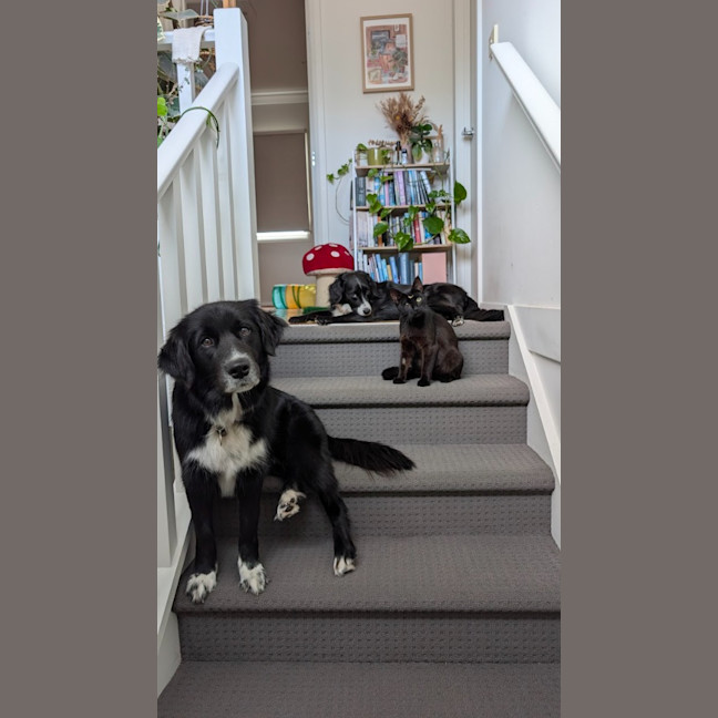 Photo of Luna Noirette