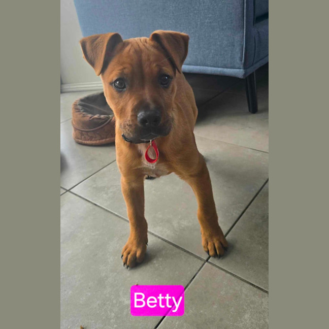 Photo of Betty
