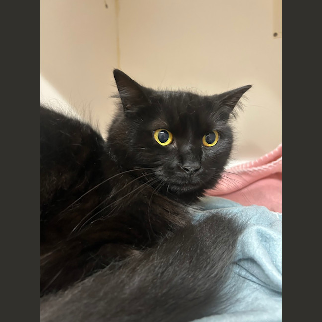 Photo of Turbo