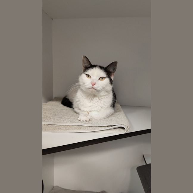 Photo of Rosie