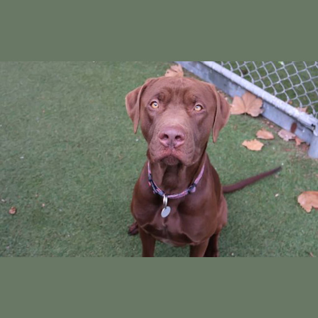 Photo of Chocy