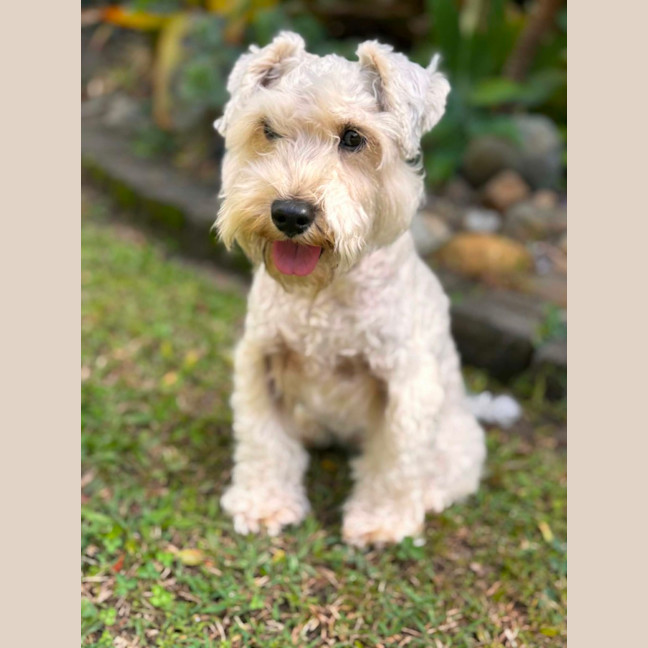 Photo of Lexi