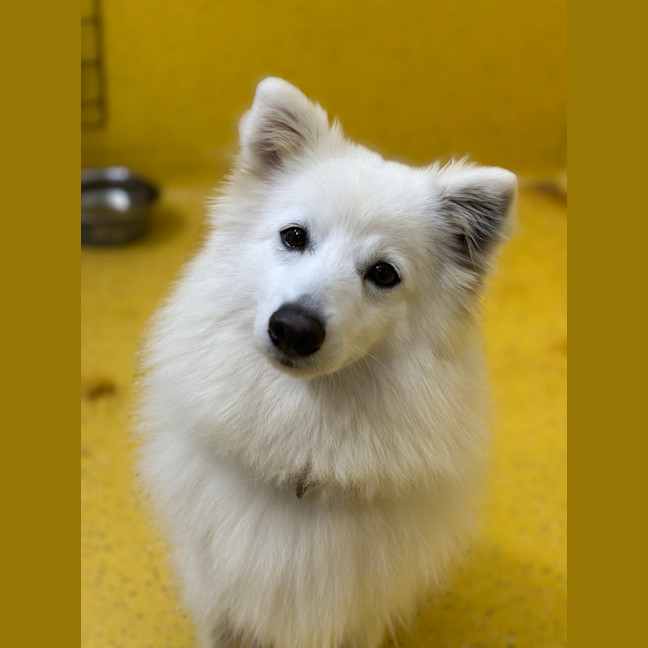Photo of Crystelle