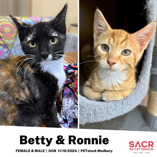 Photo of Betty & Ronnie