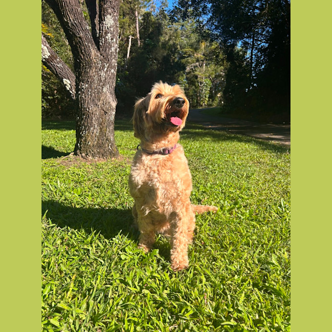 Photo of Gigi