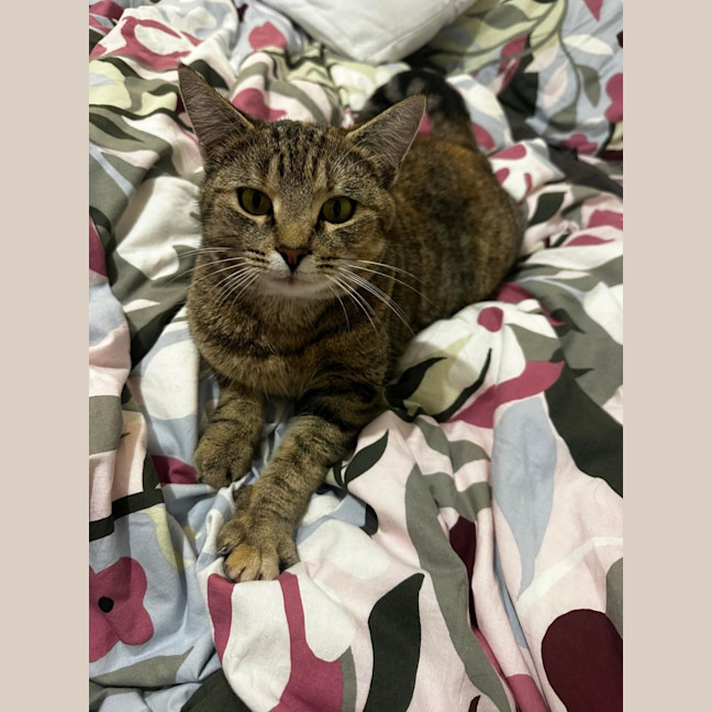 Photo of Madeline 