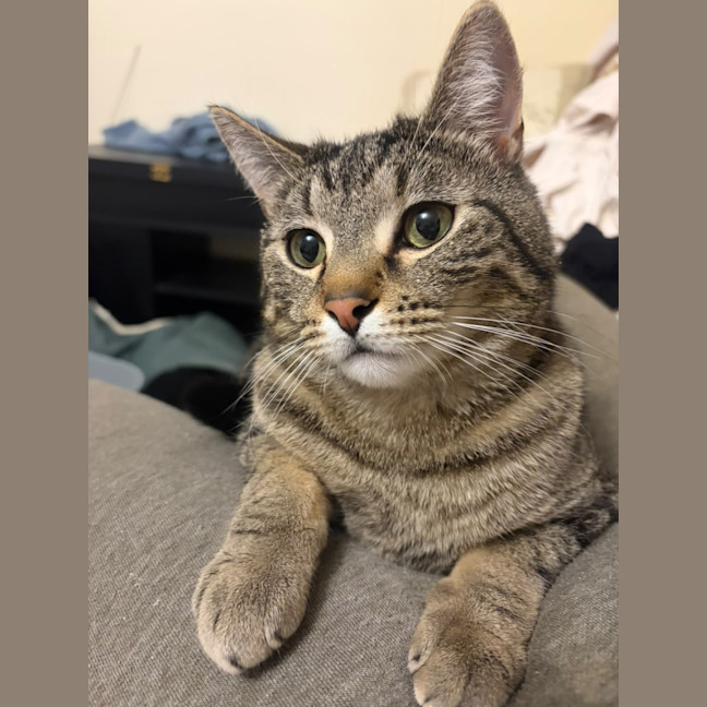 Photo of Tommy