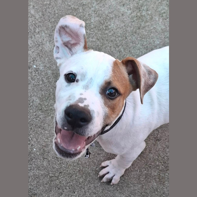 Photo of Cash