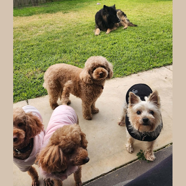 Photo of Coco