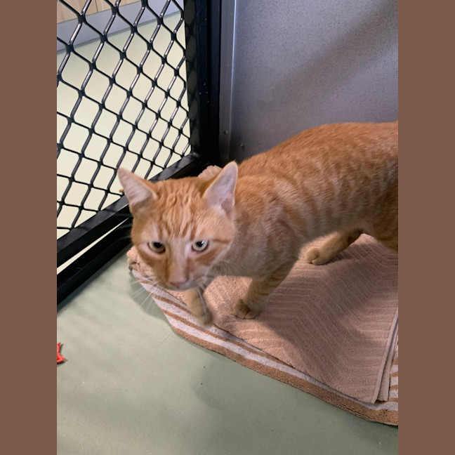 Photo of Fergus