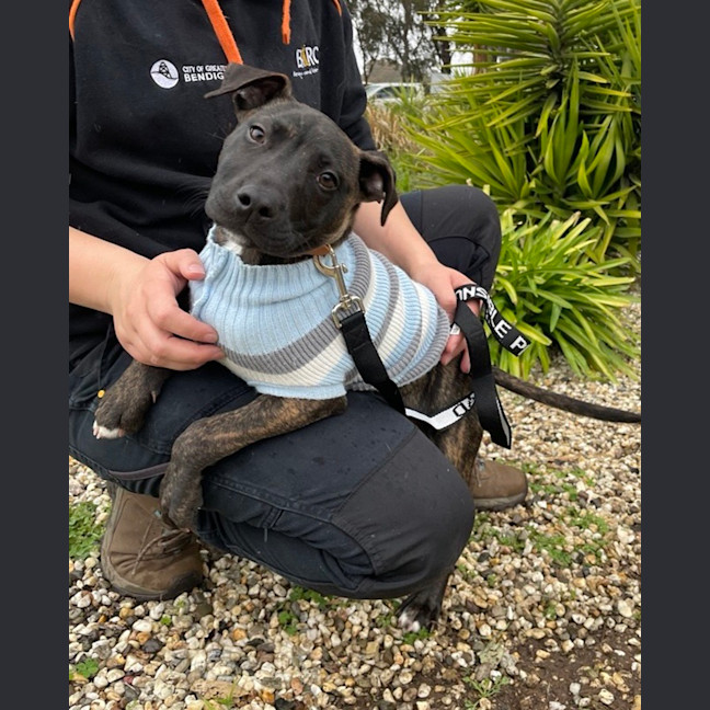Photo of Long Walk On The Beach
