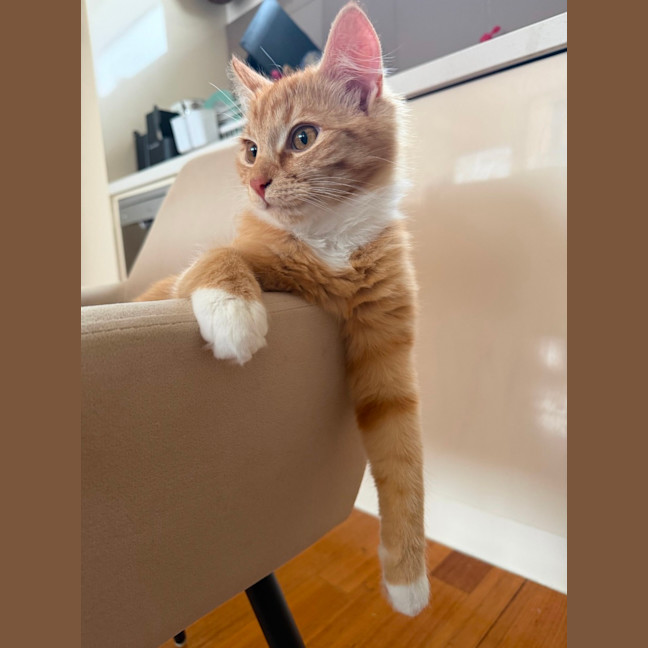 Photo of Mavi