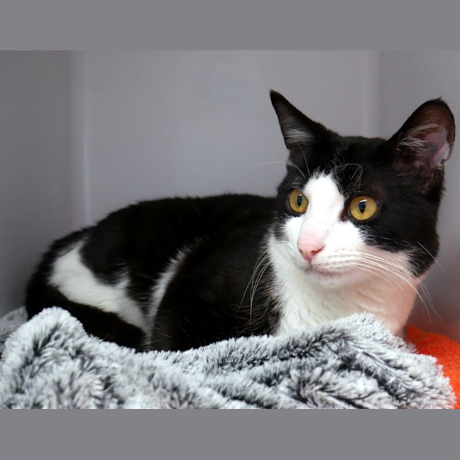 Photo of Jet Rsuk011998