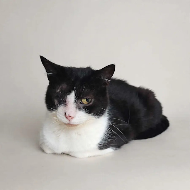 Photo of Lucky