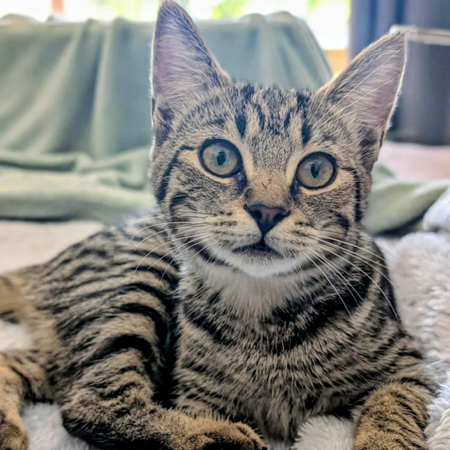 Photo of Lola