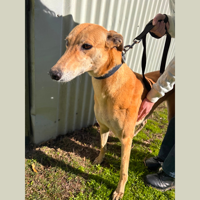 Photo of Sandy Girl 