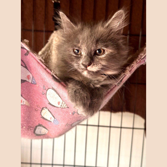 Photo of Binx Clarke