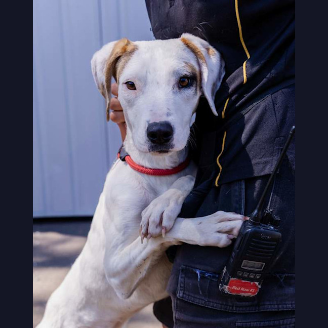 Photo of Kindred