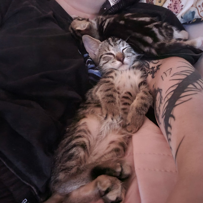 Photo of Reggie