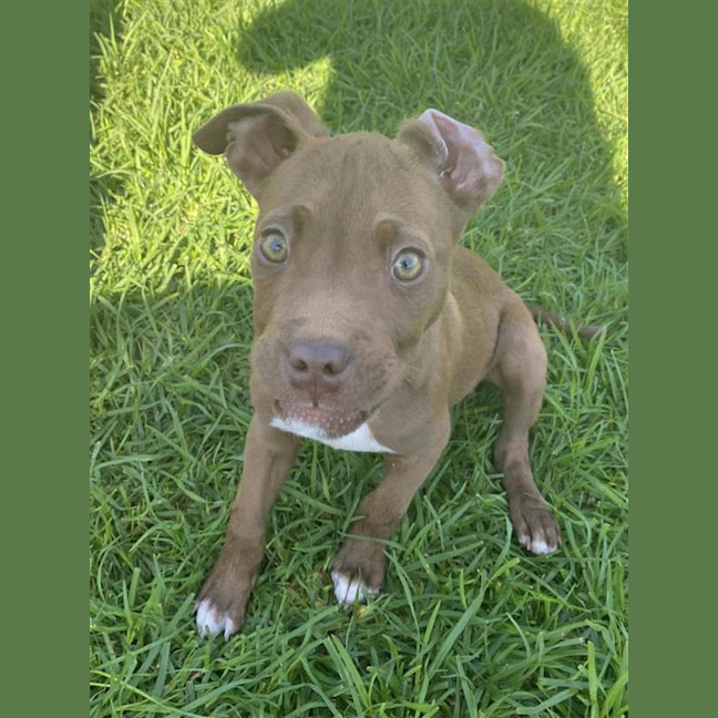 Photo of Billy B