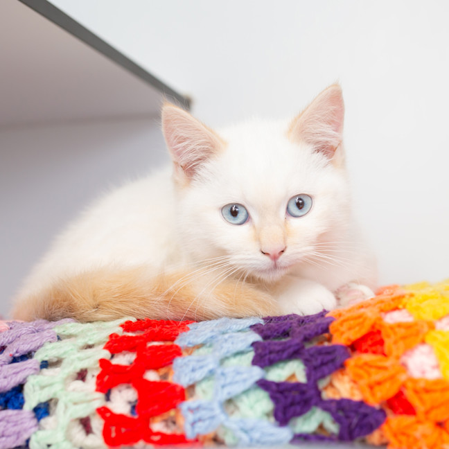 Photo of Colin Robinson