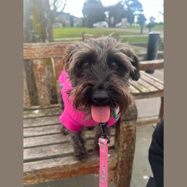 Photo of Ruth And Remi