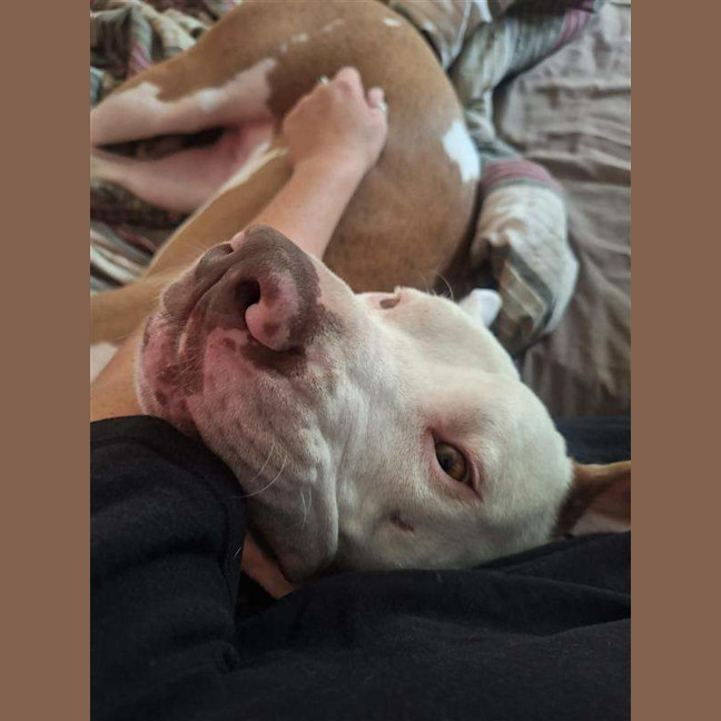 Photo of Odin