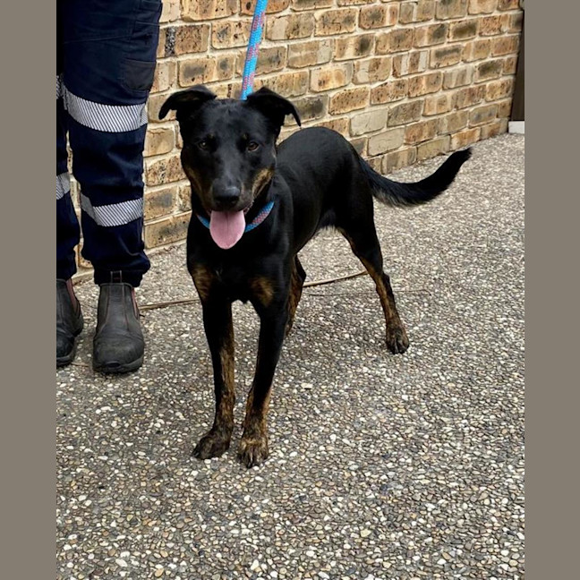 Photo of Dom (With Frankie)