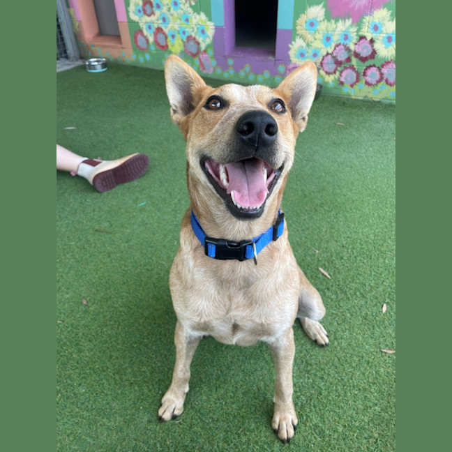 Photo of D1214 Bella