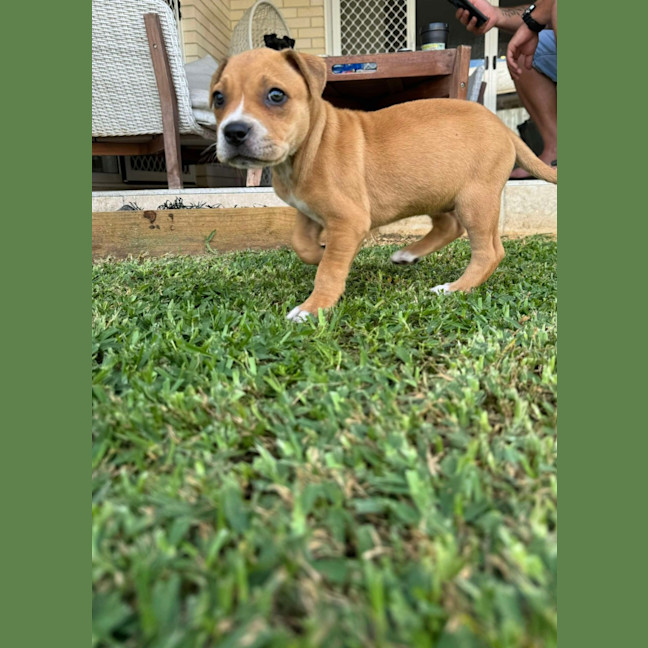 Photo of Rosie