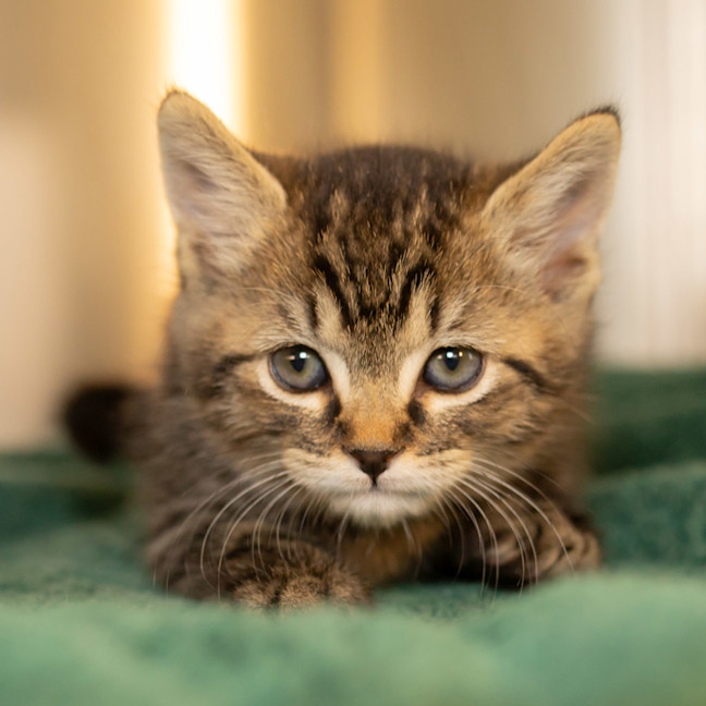 Photo of Ruddy