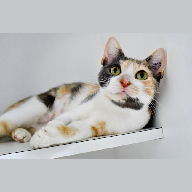 Photo of Catalie Portman