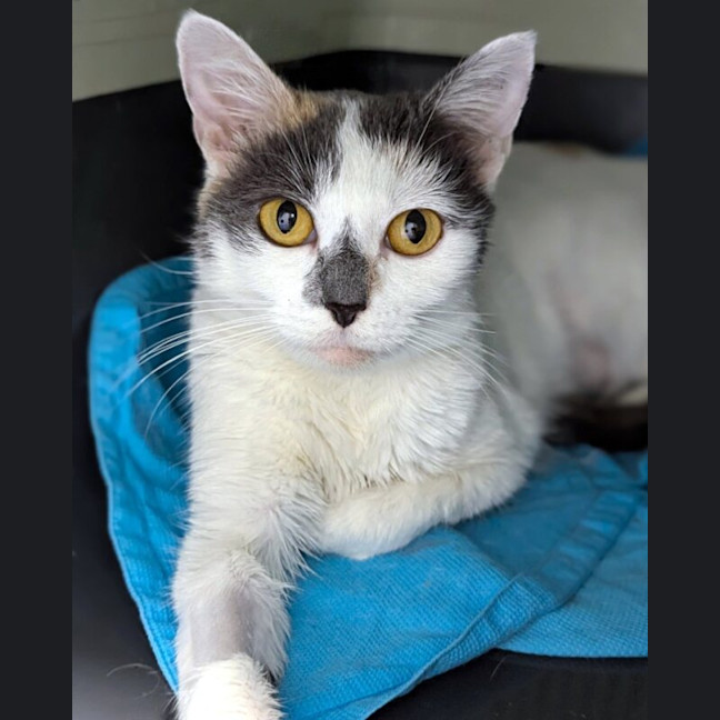 Photo of Mable