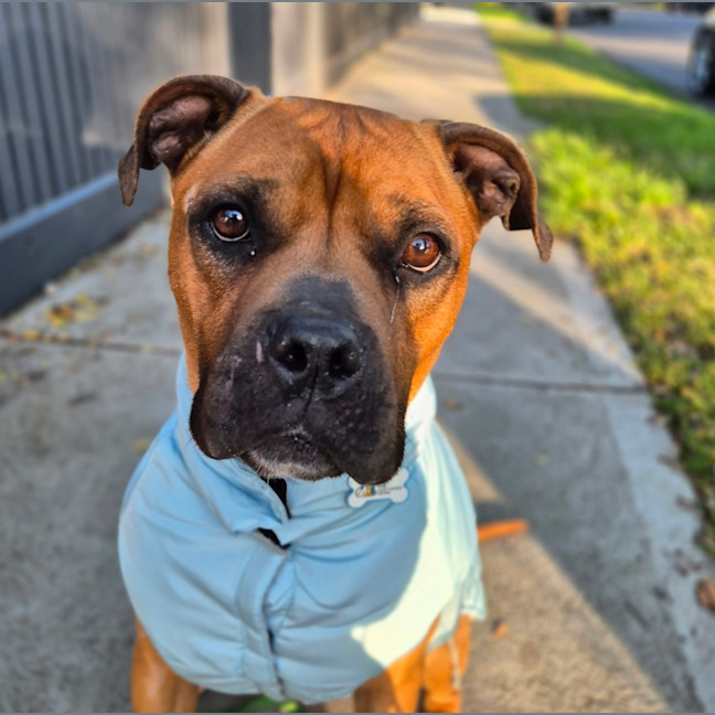 Photo of Hope