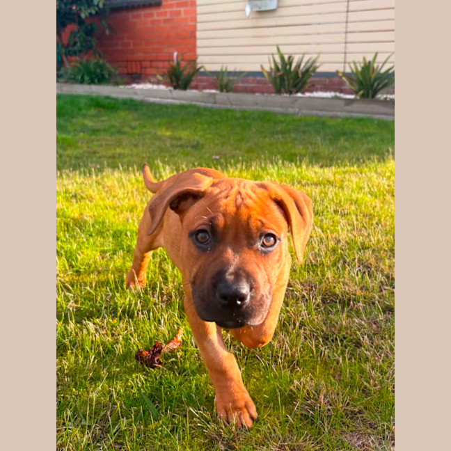 Photo of Belle